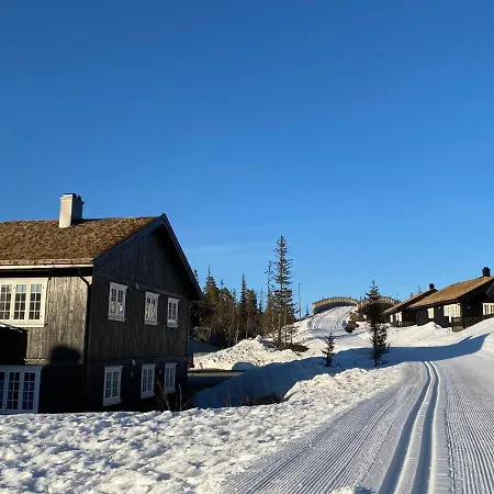 3 Bed Close To Everything * Gaustablikk